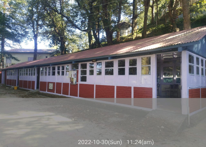 College of Business Studies